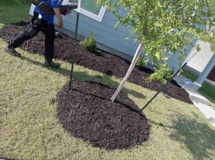 Gerry H.'s Mulching service result