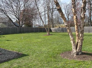Ken B.'s Lawn Mowing Service service result
