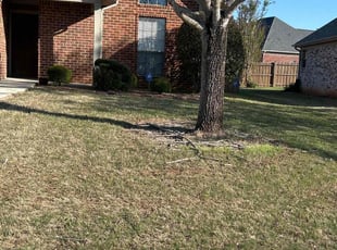 michael g.'s Lawn Mowing Service service result