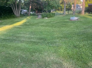 David S.'s Lawn Mowing service result