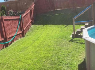 Silvia C.'s Lawn Maintenance service result