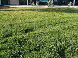 Robert O.'s Lawn Service service result