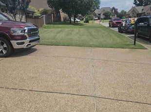 Denise B.'s Grass Cutting service result