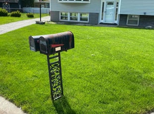 Caressa E.'s Lawn Mowing service result