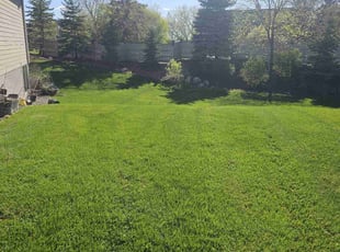Alex J.'s Lawn Mowing service result