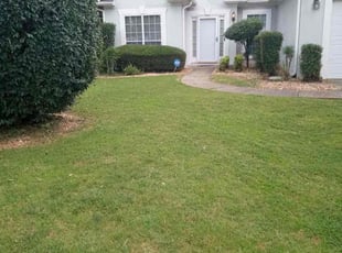 Mark R.'s Bush Trimming service result
