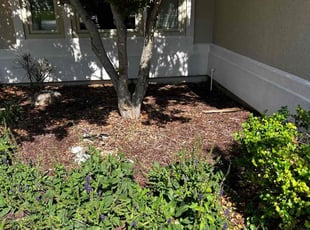 Weeding by Kyle Scott for Dawn T. in Wichita, KS