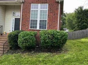 Bush Trimming by Josue Castaneda for V R. in Nashville, TN