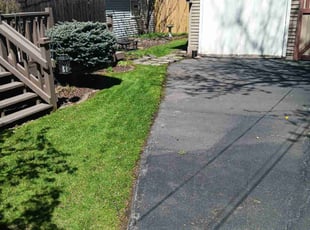 Lisa N.'s Lawn Mowing service result