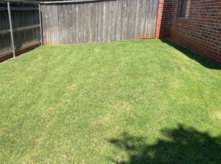 Beth P.'s Lawn Mowing Service service result