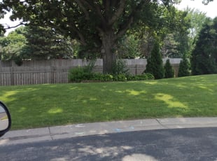 Landscaping by Shawn Spiess for Jeanette B. in Maple Grove, MN