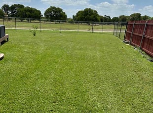 Britney G.'s Lawn Care service result