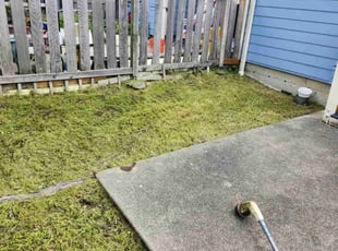 Joe M.'s Lawn Mowing service result