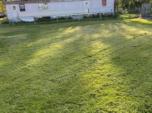 Michelle M.'s Grass Cutting service result