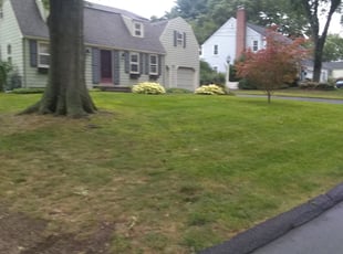 Cleanups by Savin Ungaro for Diwan G. in Hartford, CT