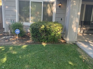 Bush Trimming by Jonathan Allen for Lawrence G. in Citrus Heights, CA