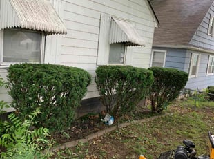 Bush Trimming by Bryant King for Tamara H. in Kansas City, MO