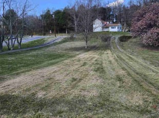 Carey V.'s Lawn Mowing service result