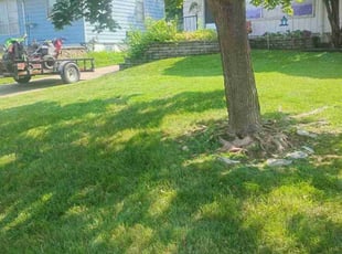 Ashley S.'s Lawn Mowing service result