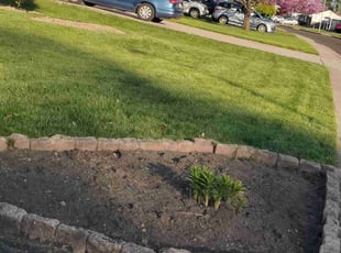 Chris r.'s Lawn Maintenance service result