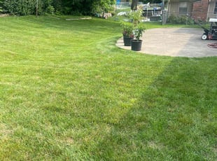 Avril M.'s Lawn Mowing Service service result