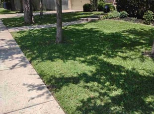 James W.'s Grass Cutting service result