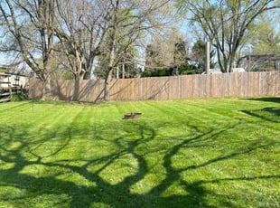 Kenneth F.'s Lawn Service service result