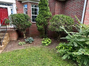 Bush Trimming by Roderick Vaughn for Eric H. in Nashville, TN