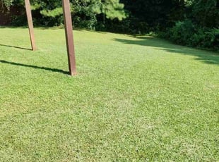 Kimberly G.'s Lawn Mowing service result