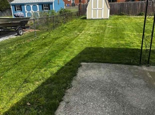Brandon Y.'s Lawn Mowing service result