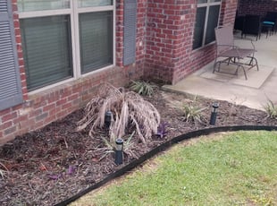 Weeding by Chris Burleson for Michael T. in Pensacola, FL