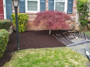 Weeding by Miguel Santos for Michelle DUPLICATE ACCOUNT4 L. in Rockville, MD