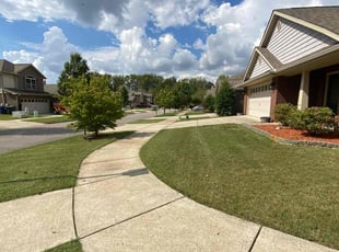 Panini S.'s Lawn Care service result