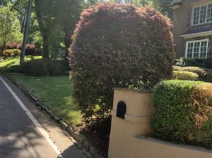 Leaf Removal by Johnathan Dockray for Kenney N. in Atlanta, GA