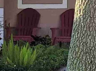 Bush Trimming by Carlos Martinez for Yolanda D. in Davenport, FL