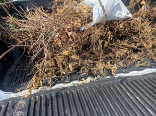 Cleanups by Gunner McClellan for Tia J. in Minneapolis, MN