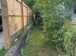 Bush Trimming by Austin Sigmon for John C. in Chattanooga, TN