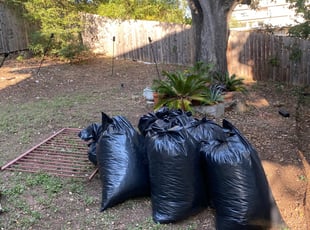 Leaf Removal by Joshua Benouis for Tim D. in Austin, TX