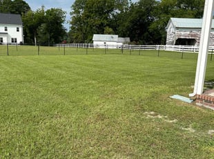 Michele T.'s Lawn Mowing Service service result