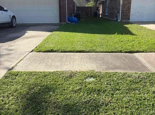 Shaquita M.'s Lawn Mowing service result