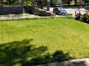 Claudia B.'s Lawn Mowing service result