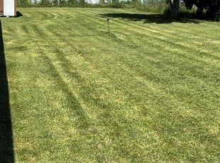 Jenny S.'s Lawn Service service result