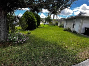 Richard J.'s Lawn Maintenance service result