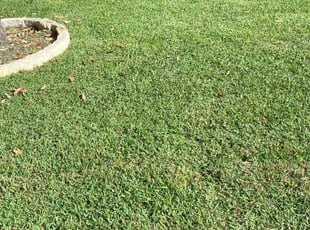 Robin J.'s Lawn Service service result