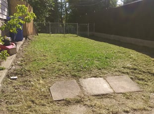 Leaf Removal by David Gallaway for Catherine M B. in Saint Paul, MN