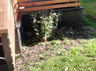 Bush Trimming by Ronald Bell for Real Estate P. in North Kansas City, MO