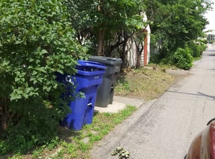 Bush Trimming by David Gallaway for Christopher T. in Saint Paul, MN