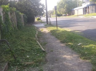 Weeding by Jacob Campfield for Ojinika M. in Columbus, OH