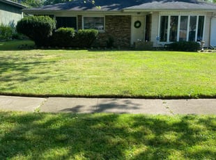Yvonne M.'s Lawn Mowing service result