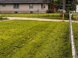 Ronald G.'s Lawn Care service result